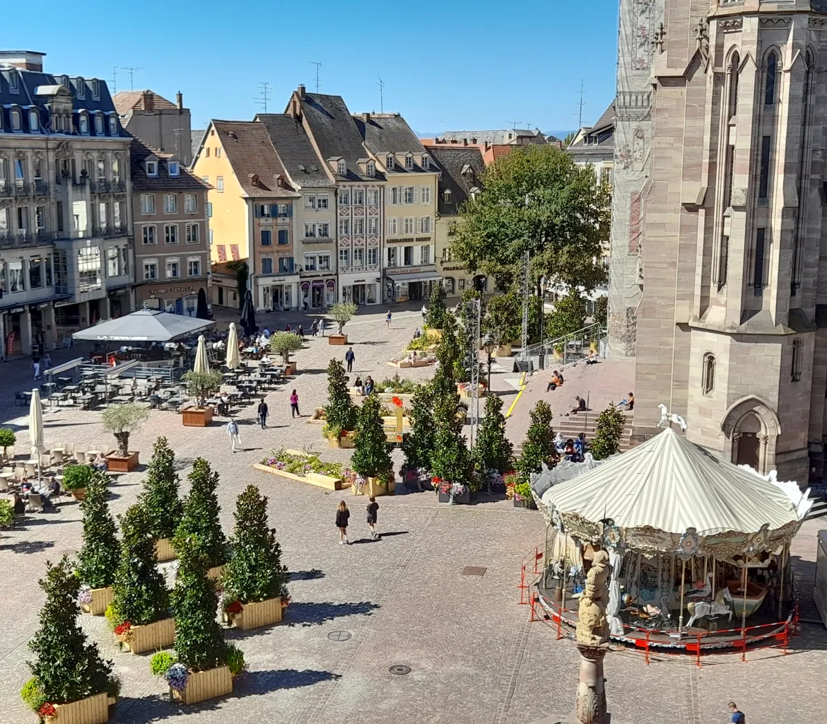 Location Mulhouse Appartement 6a33bb37efa6