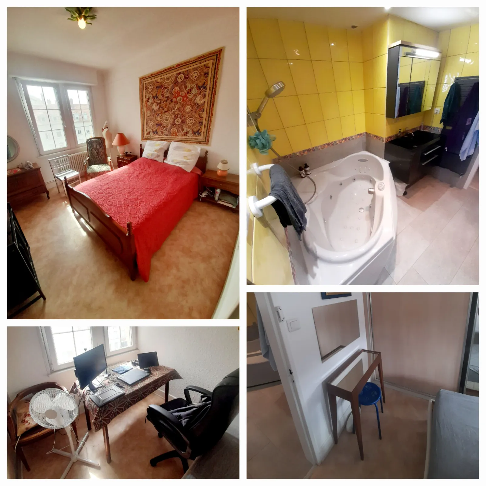 Location Mulhouse Appartement 6a33bb37efa6