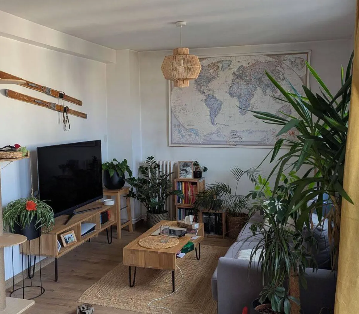 Location Toulouse Appartement 6a353f3e49cc