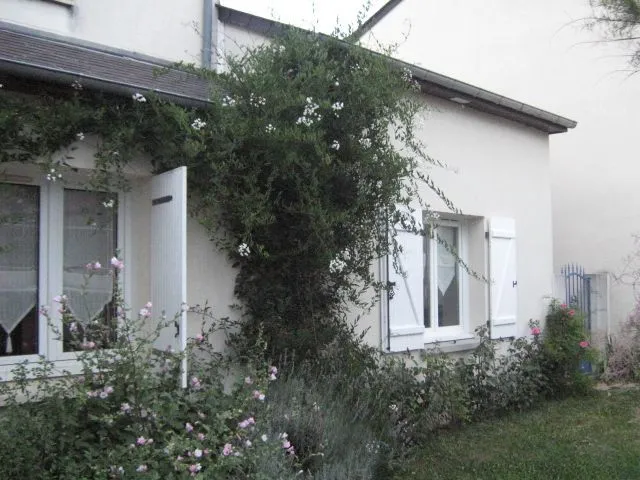 Location Tours Maison 6a3856026942