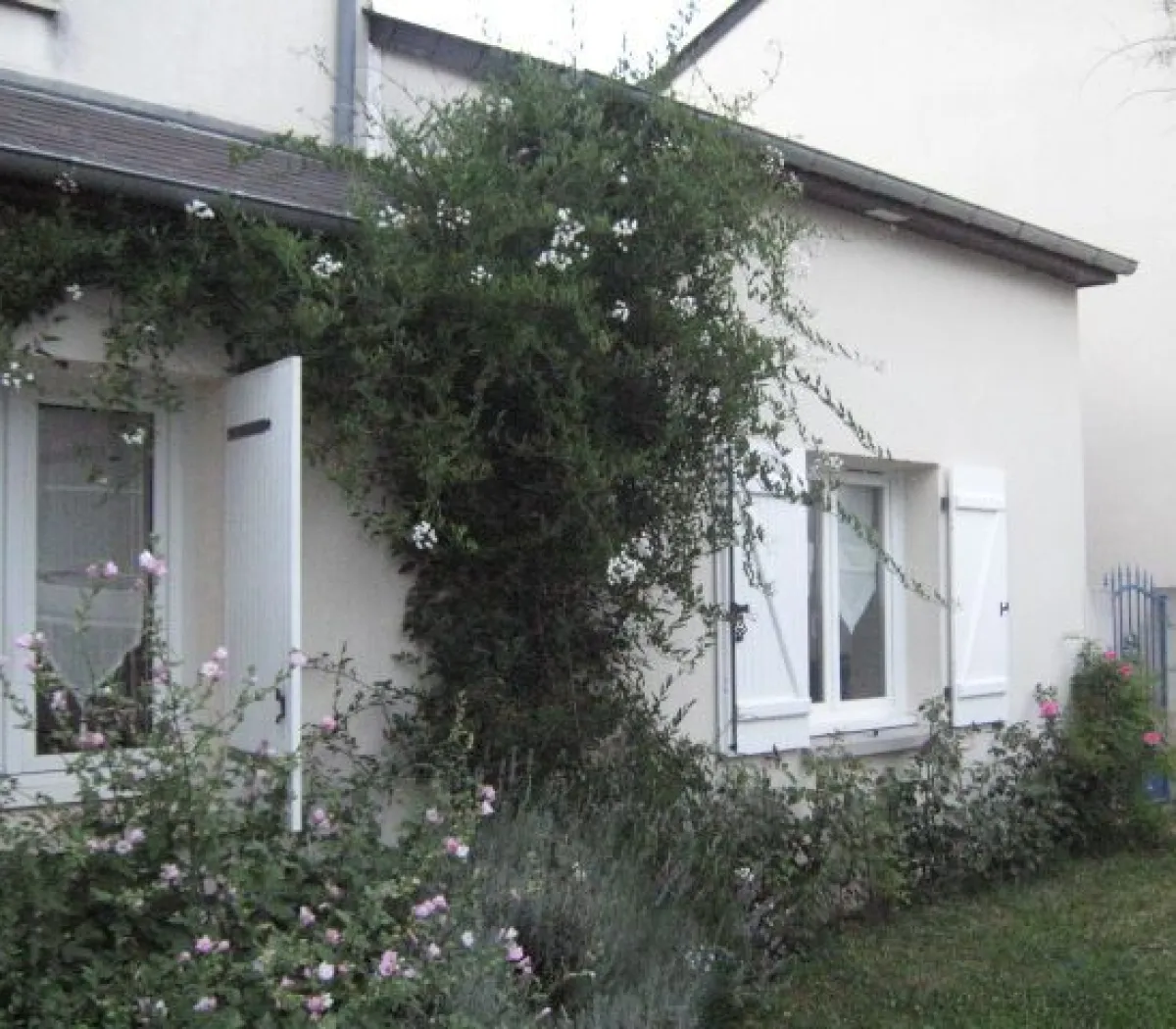 Location Tours Maison 6a3856026942