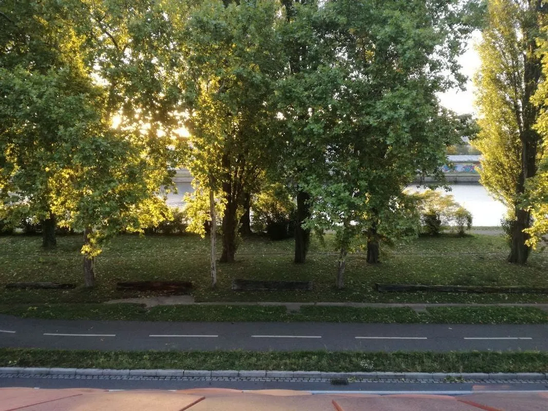 Location Strasbourg Appartement 6a3901b03256