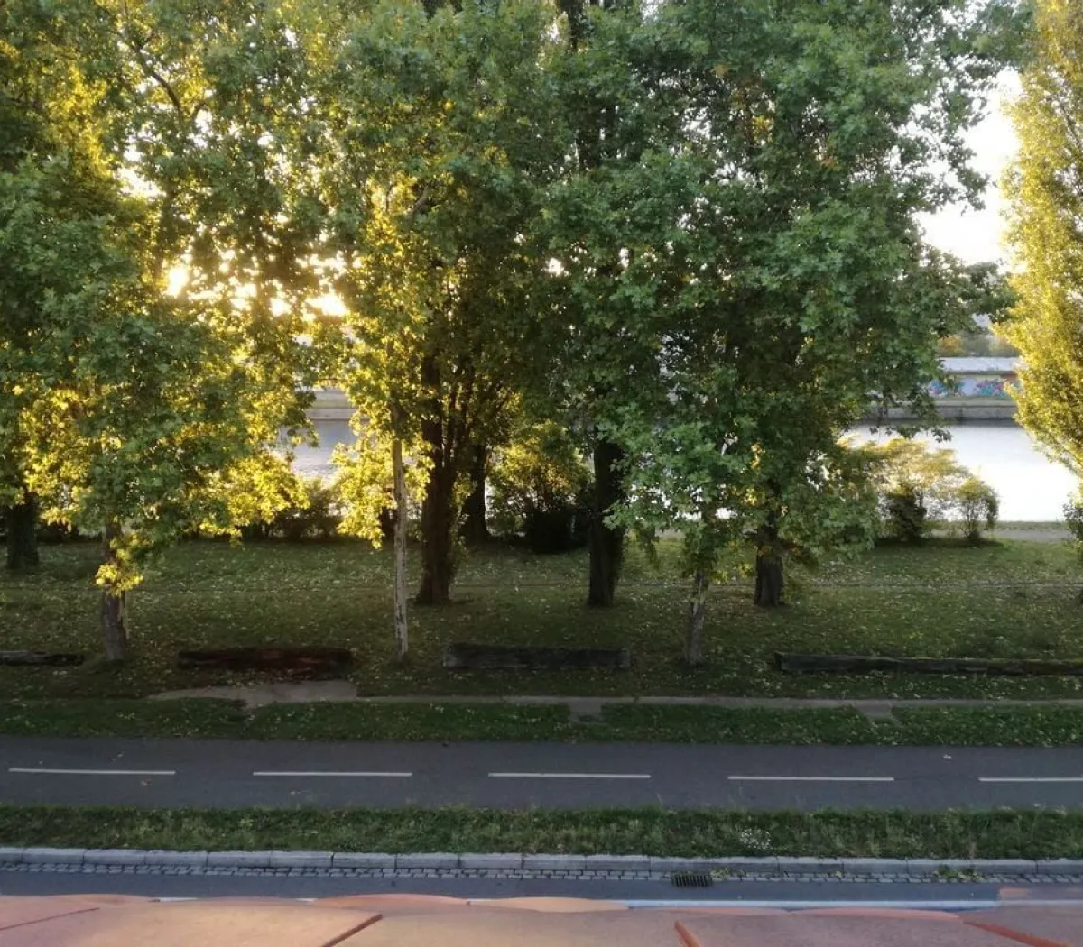 Location Strasbourg Appartement 6a3901b03256