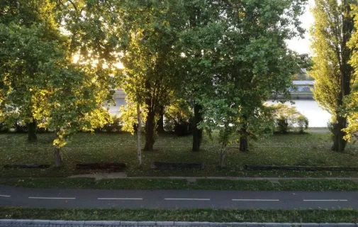 Location Strasbourg Appartement 6a3901b03256