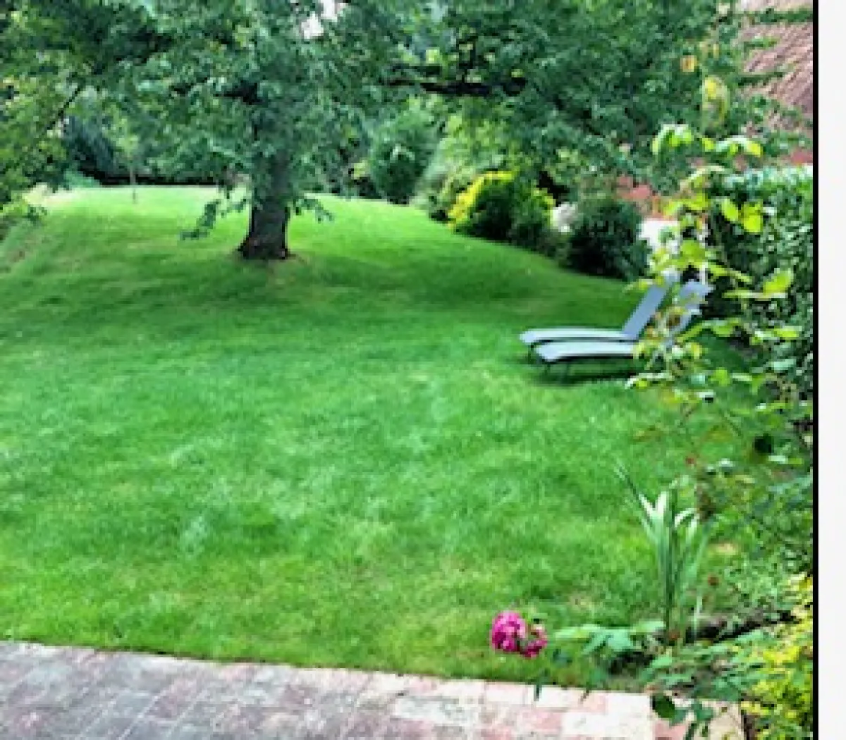 Location Templeuve-en-Pévèle Maison 6a3e9199d742