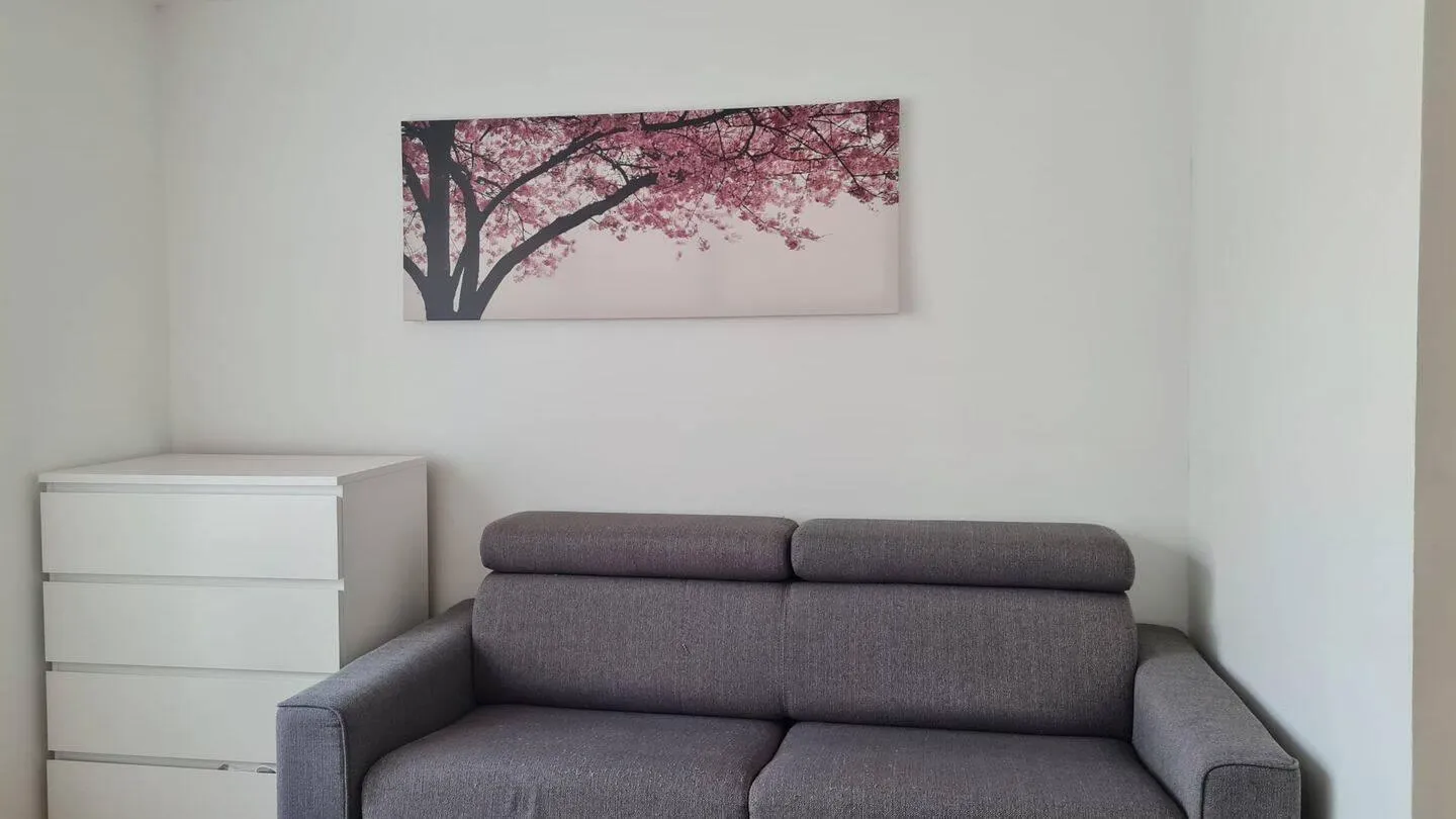 Location Lille Appartement 6a422b394fd9