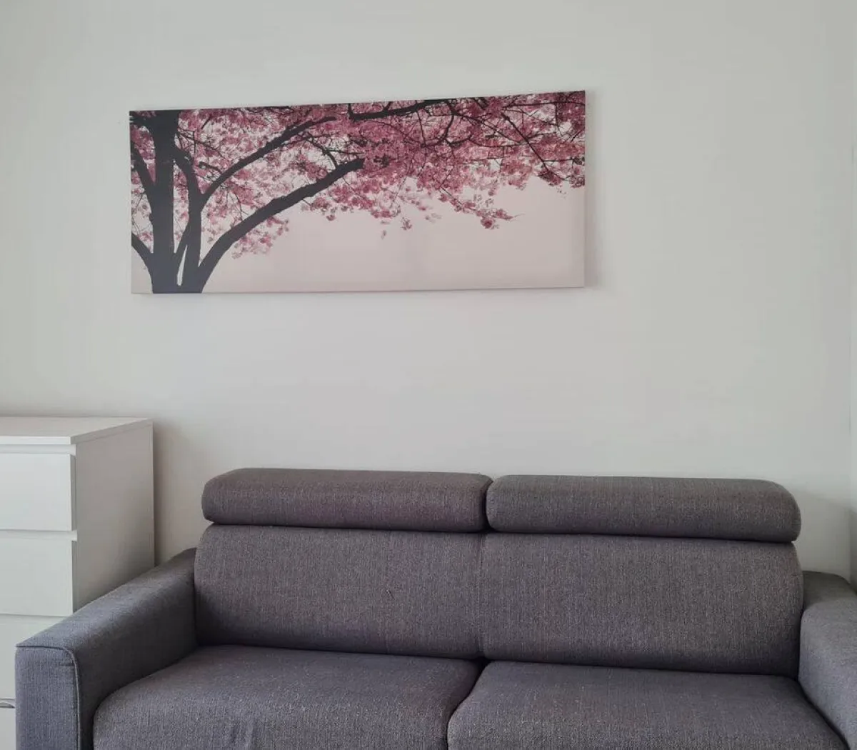 Location Lille Appartement 6a422b394fd9