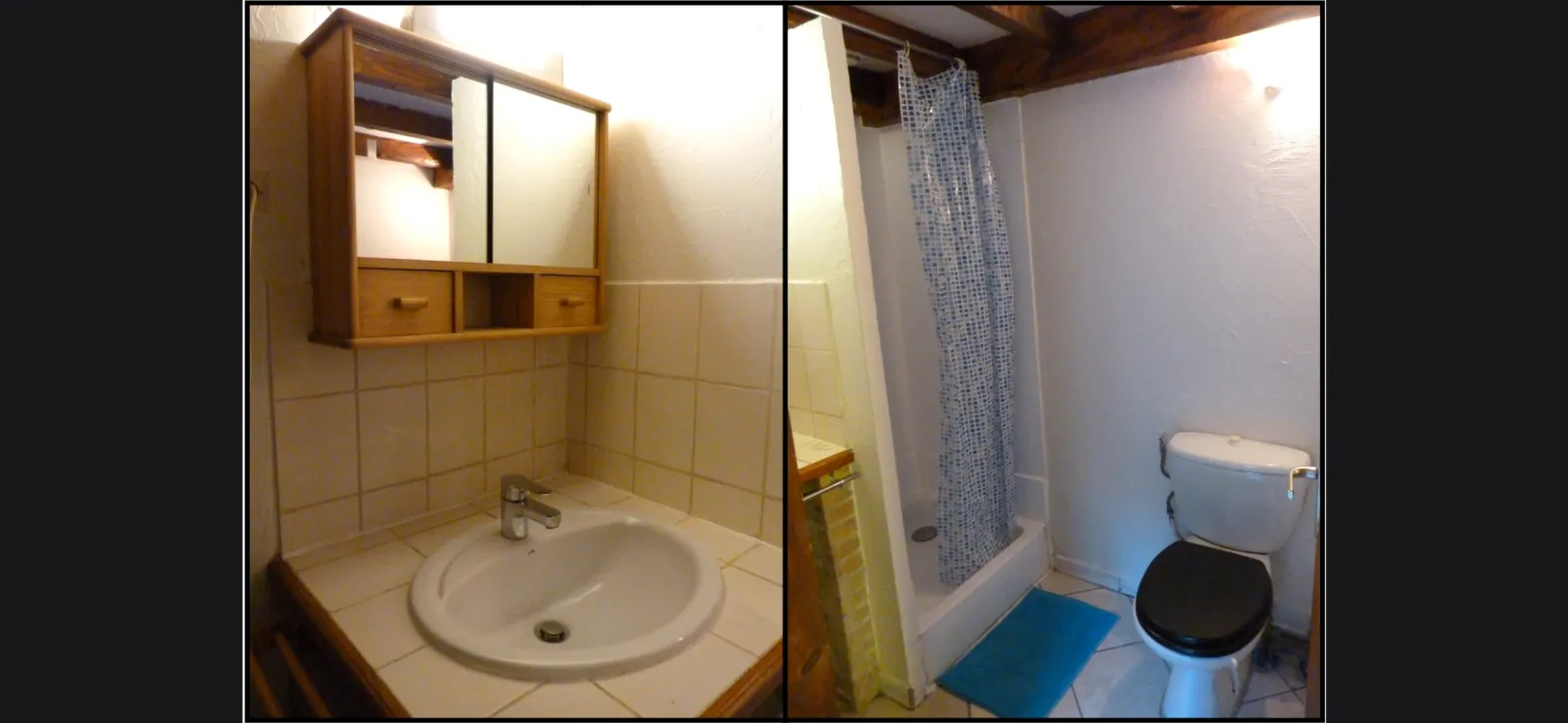 Location Grenoble Appartement 6a422ee1e5ee