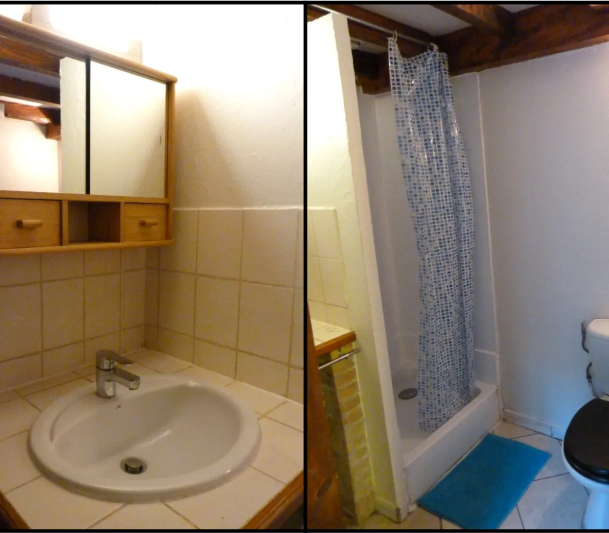 Location Grenoble Appartement 6a422ee1e5ee