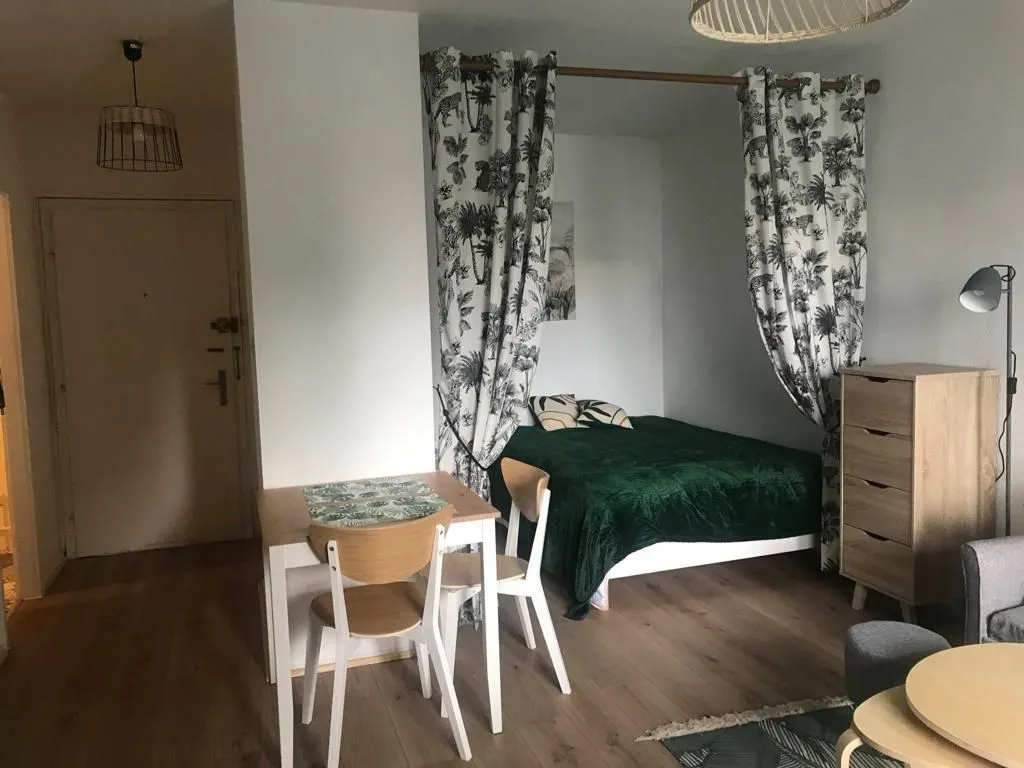 Location Strasbourg Appartement 6a42906c4711