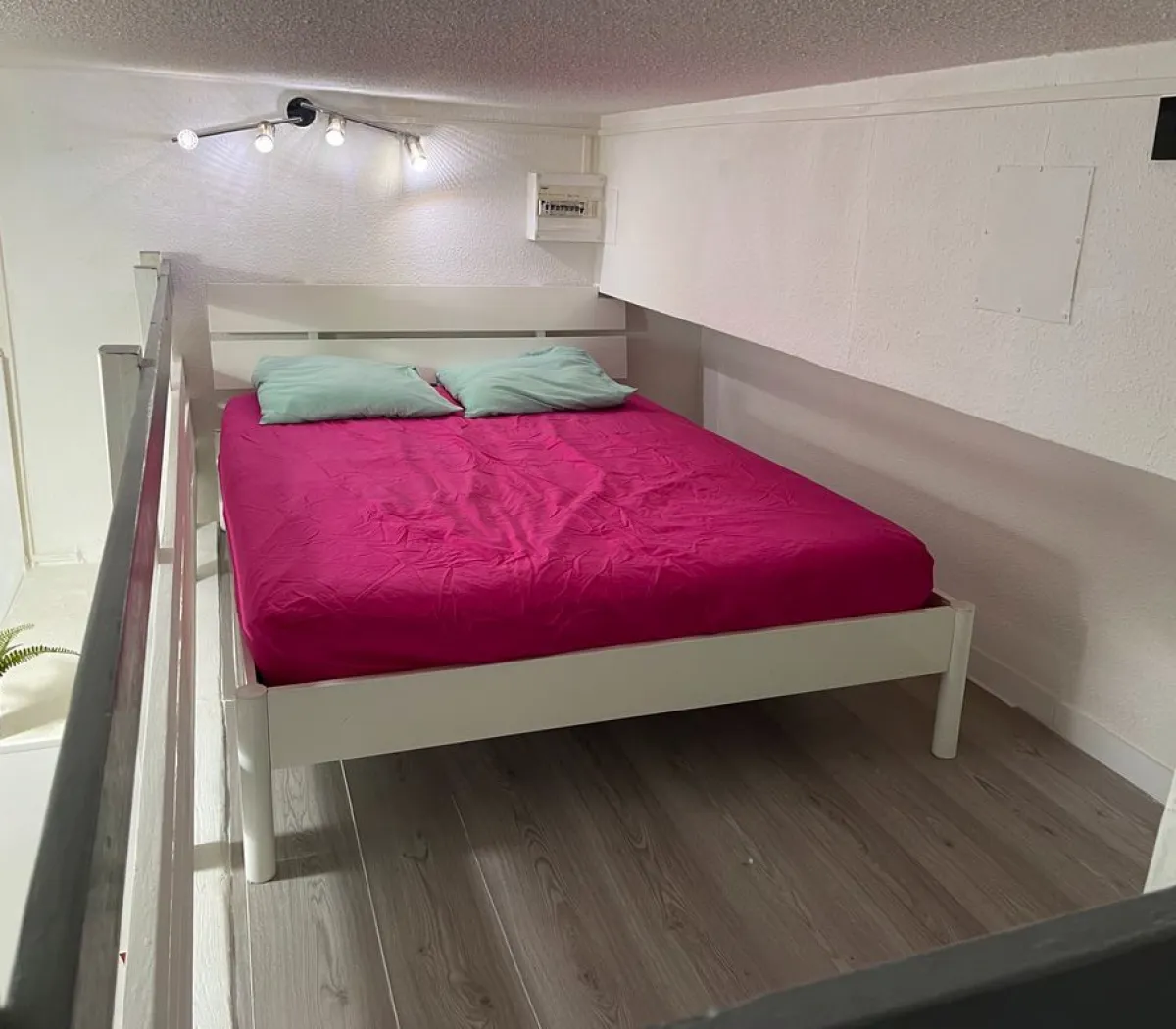 Location Montpellier Appartement 6a4294502406