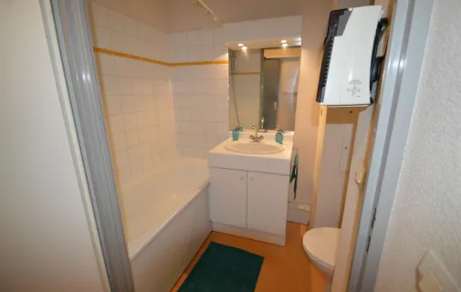 Location Villeurbanne Appartement 6a42d680ea87