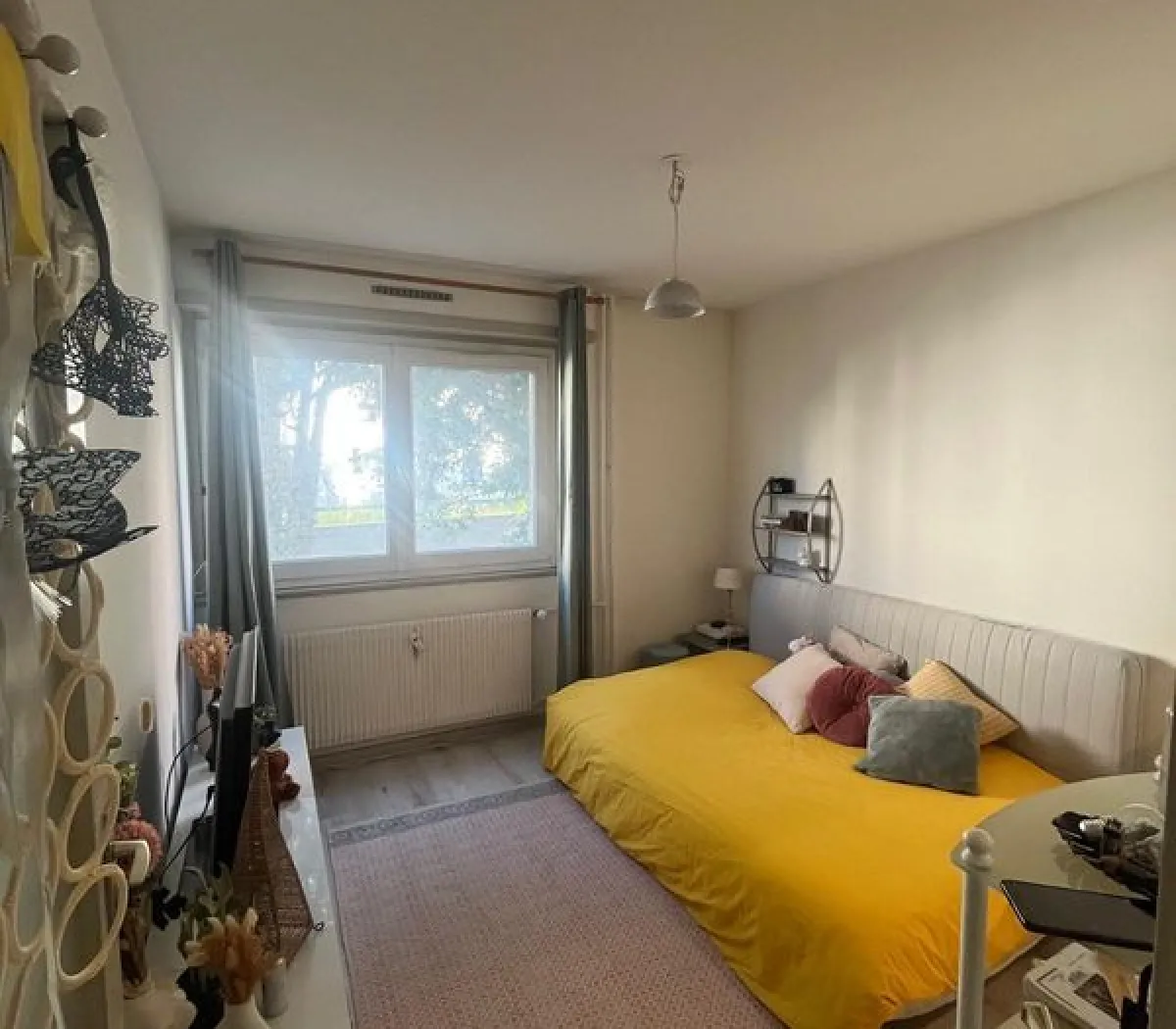 Location Strasbourg Appartement 6a42fbd5517e