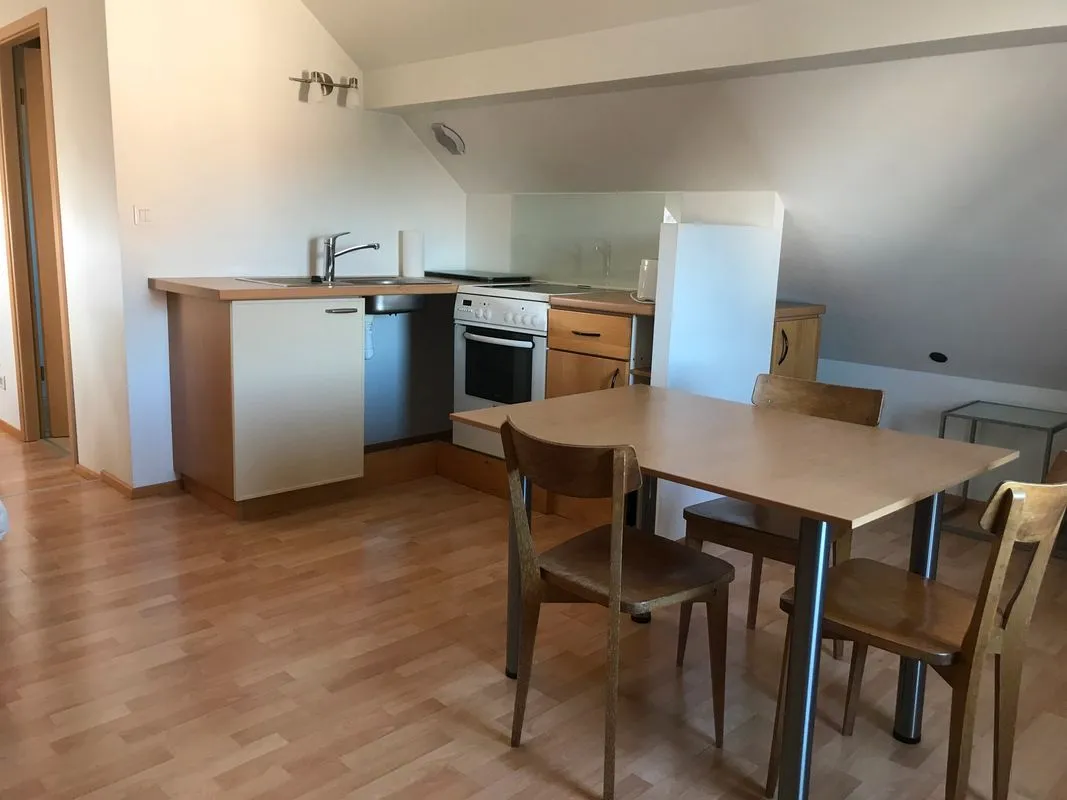 Location Strasbourg Appartement 6a43cc0d549f