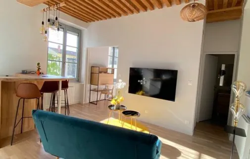 Location Lyon Appartement 6a43ea8d45b6