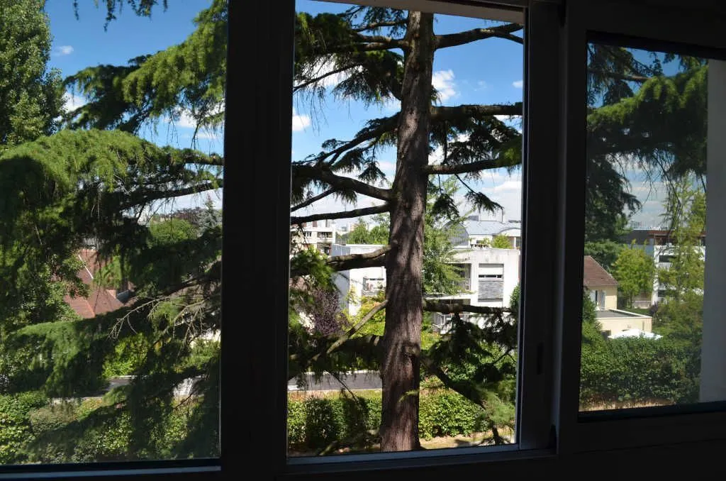 Location Sceaux Appartement 6a4503cd306c