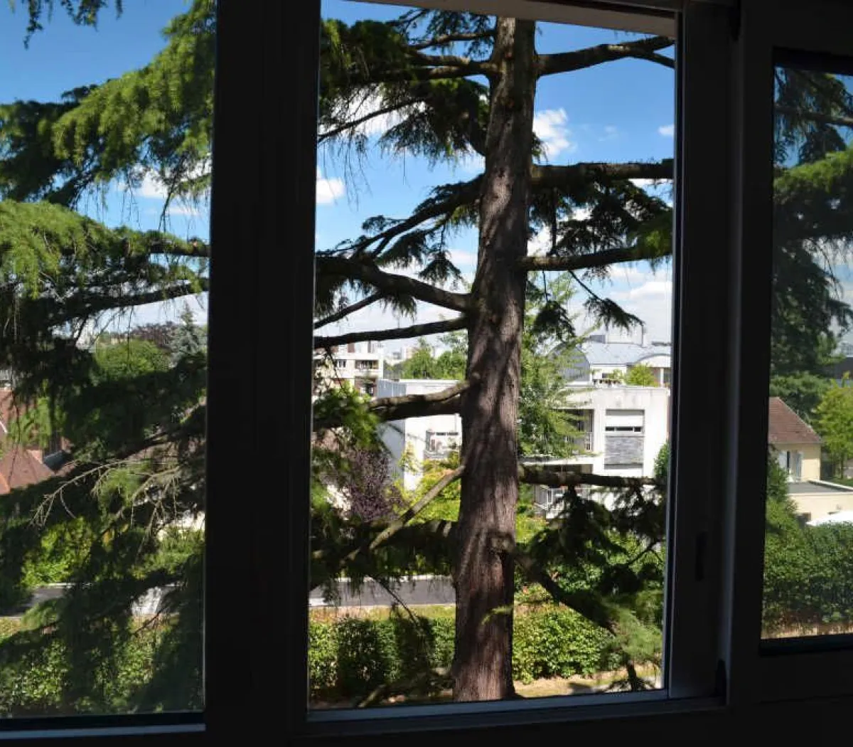 Location Sceaux Appartement 6a4503cd306c