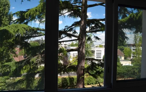 Location Sceaux Appartement 6a4503cd306c