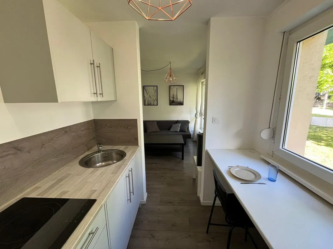 Location Strasbourg Appartement 6a4511de0e60