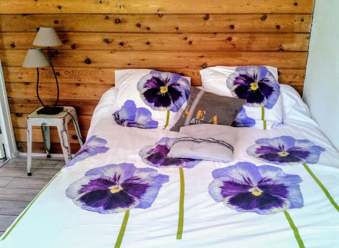 Location Annecy Appartement 6a451f4c7634