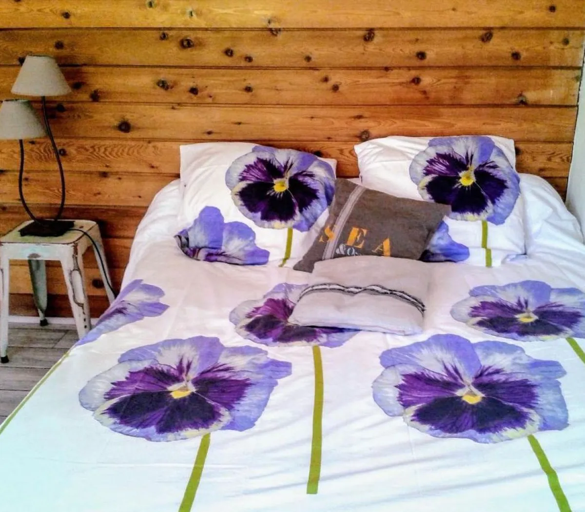 Location Annecy Appartement 6a451f4c7634