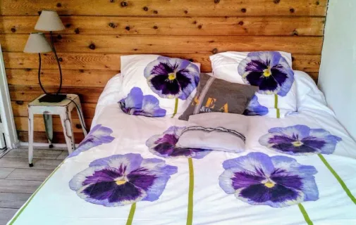 Location Annecy Appartement 6a451f4c7634
