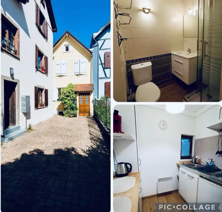 Location Schiltigheim Appartement 6a4529537f02