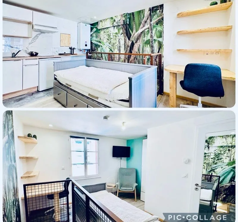 Location Strasbourg Appartement 6a452bfab859