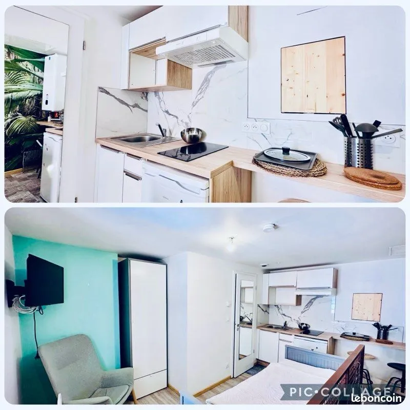 Location Strasbourg Appartement 6a452bfab859