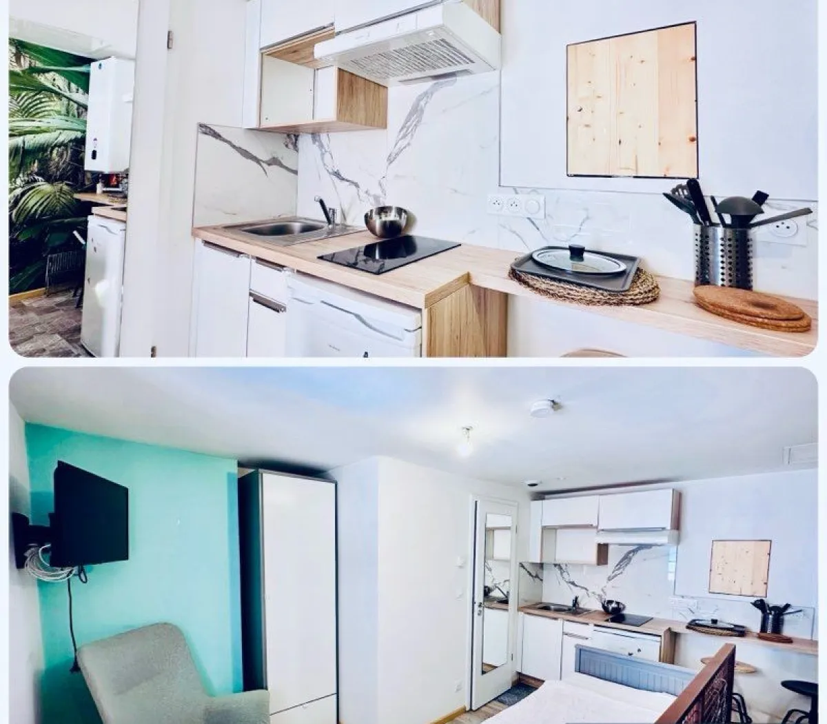 Location Strasbourg Appartement 6a452bfab859