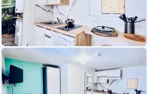 Location Strasbourg Appartement 6a452bfab859
