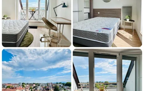 Location Strasbourg Chambre 6a45339db5d2