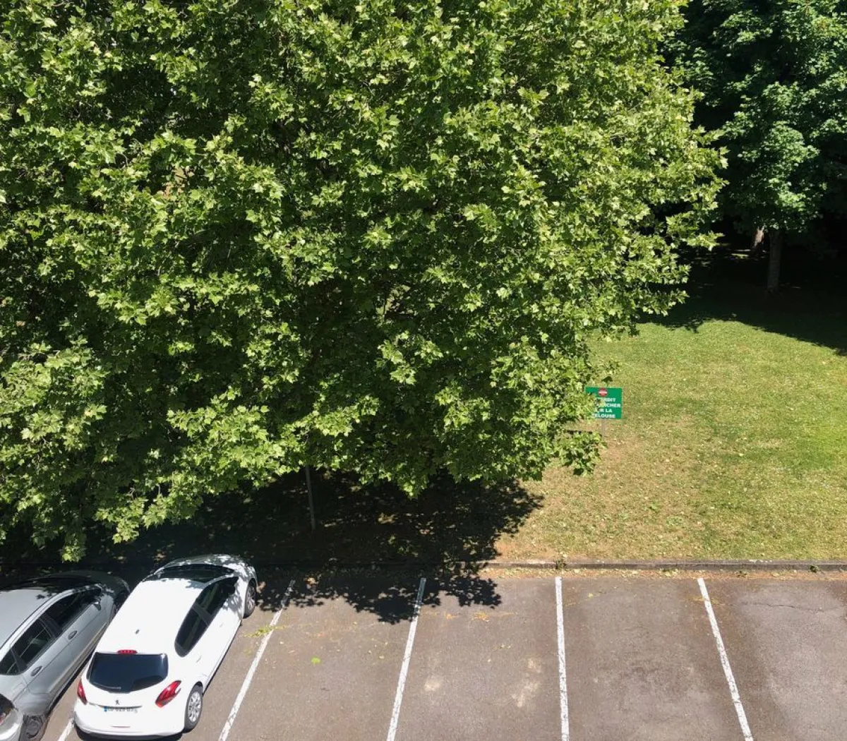 Location Thionville Appartement 6a46321d6410