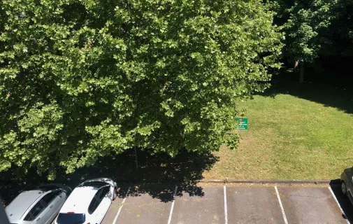 Location Thionville Appartement 6a46321d6410