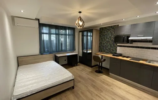 Location Villeurbanne Appartement 6a4777f23c73