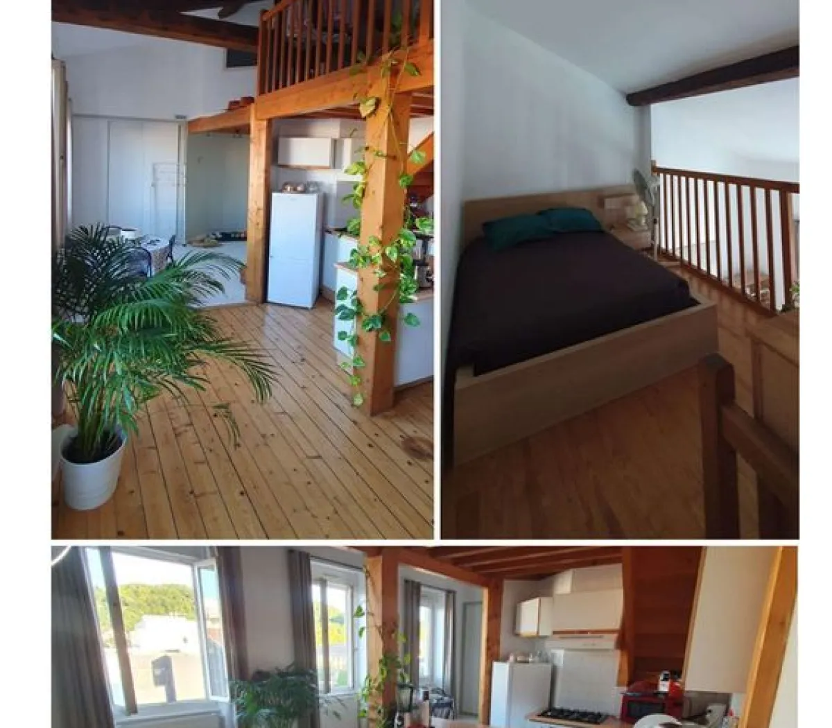 Location Lyon Appartement 6a477a81f20b