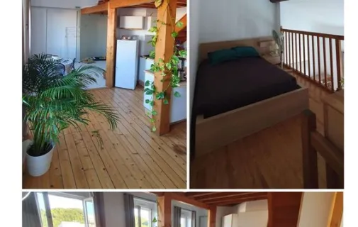 Location Lyon Appartement 6a477a81f20b
