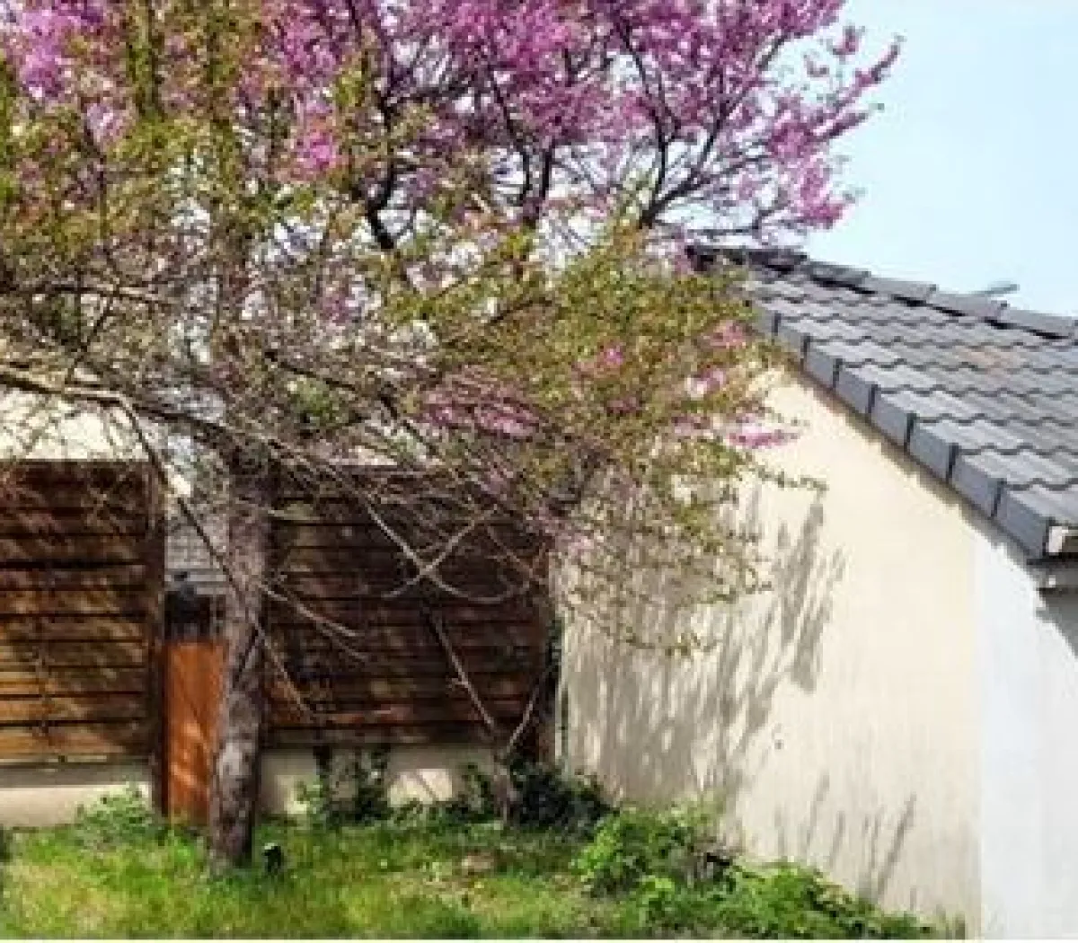 Location Saint-Ouen-l'Aumône Maison 6a4bb20d4aaa