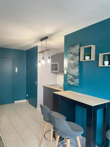 Location Strasbourg Appartement 6a4bb79593b1