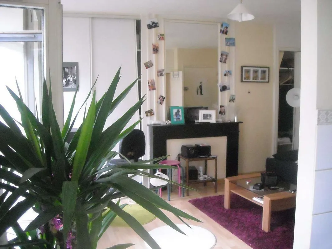 Location Lille Appartement 6a4bcec4a125