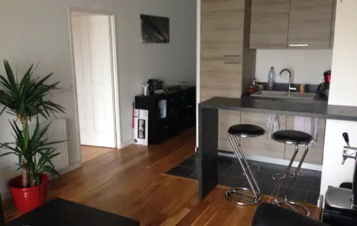 Location Lyon Appartement 6a4bf2d4769e