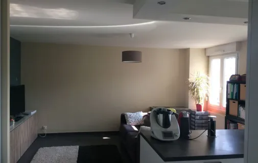Location Villeurbanne Appartement 6a4cc9d55f34