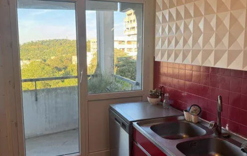 Location Lyon Appartement 6a4cf265ae85