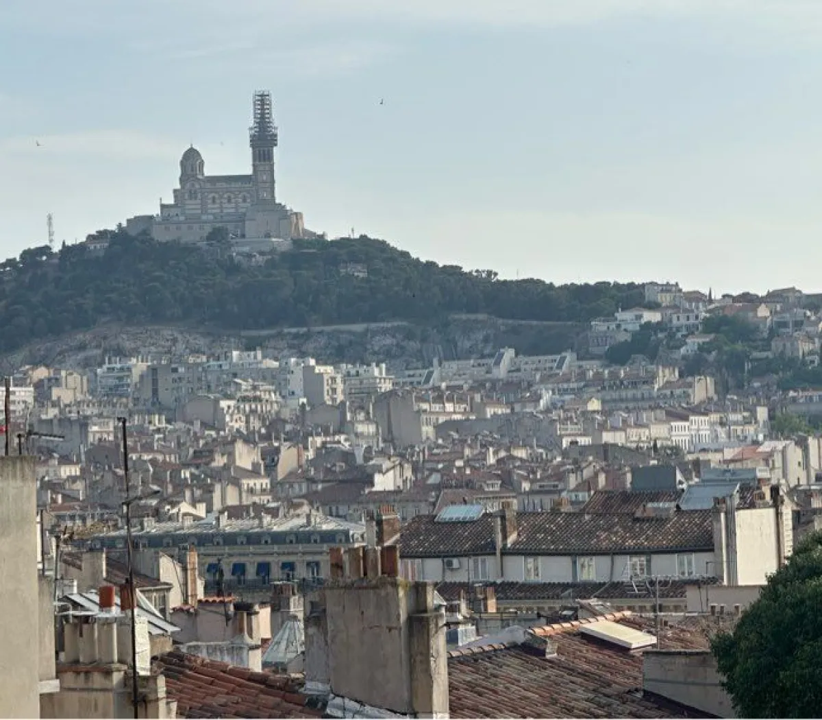 Location Marseille Appartement 6a4d9eaab933