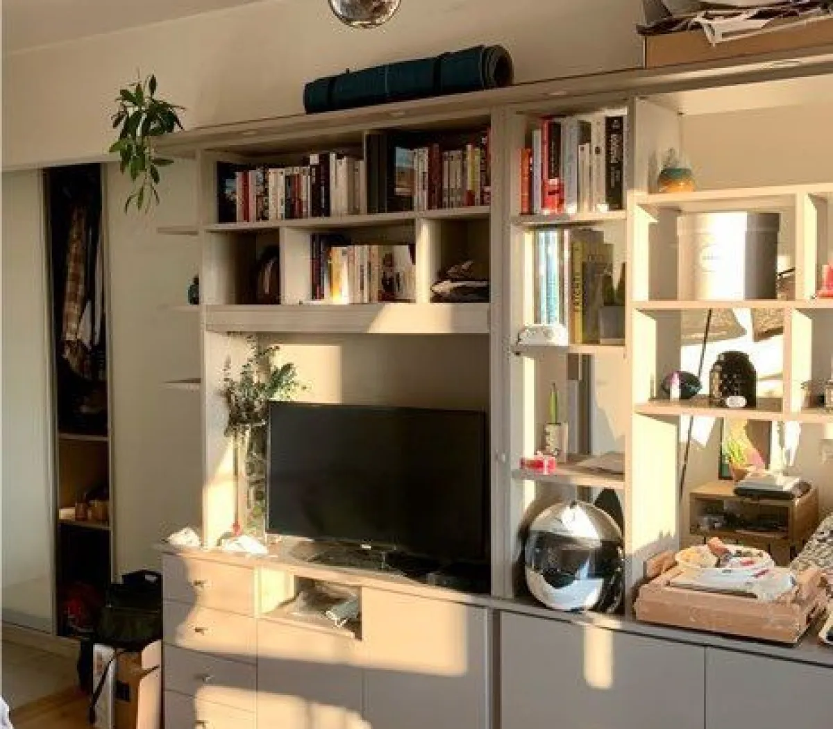 Location Le Kremlin-Bicêtre Appartement 6a4da4379b9f