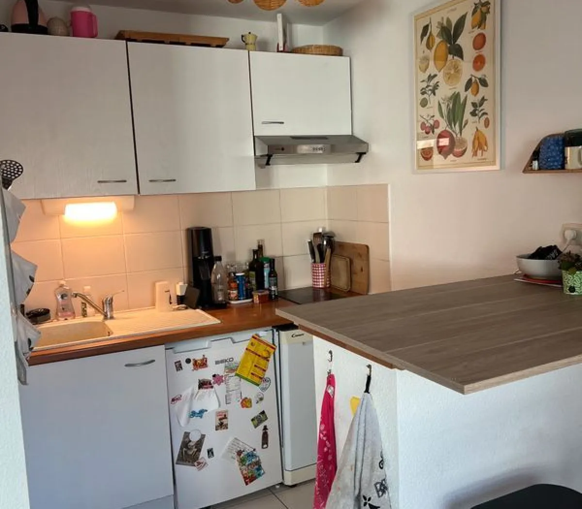 Location Toulouse Appartement 6a4e6ef21c02