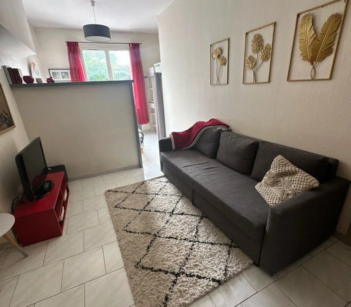 Location Tours Appartement 6a4ed728d4e4