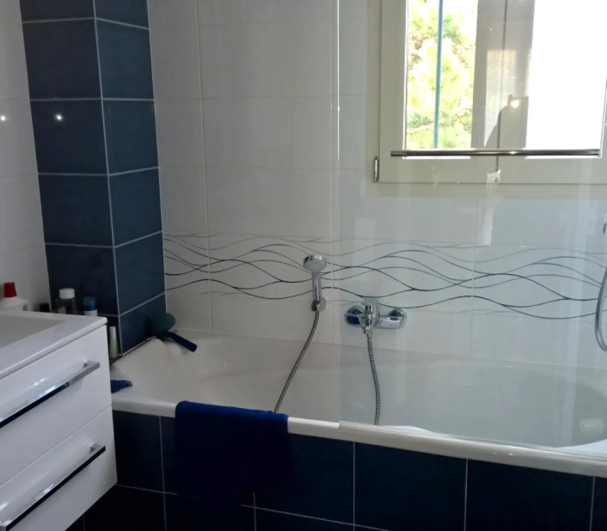 Location Le Vésinet Maison 6a4fb81b3936