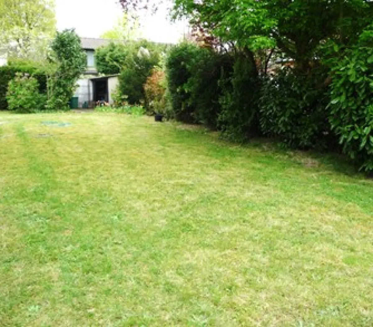 Location Le Vésinet Maison 6a4fb81b3936