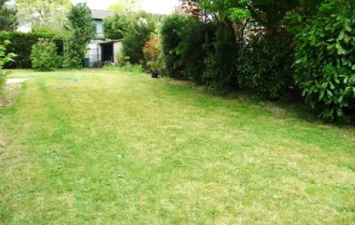 Location Le Vésinet Maison 6a4fb81b3936